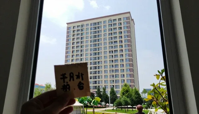 中药材规范化种植中养护管理的实践与应用