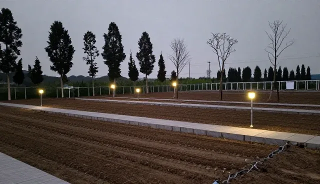 种植示范点:苗木培育中的成本控制问题分析