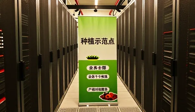苗木配送性能与适用条件的优化路径